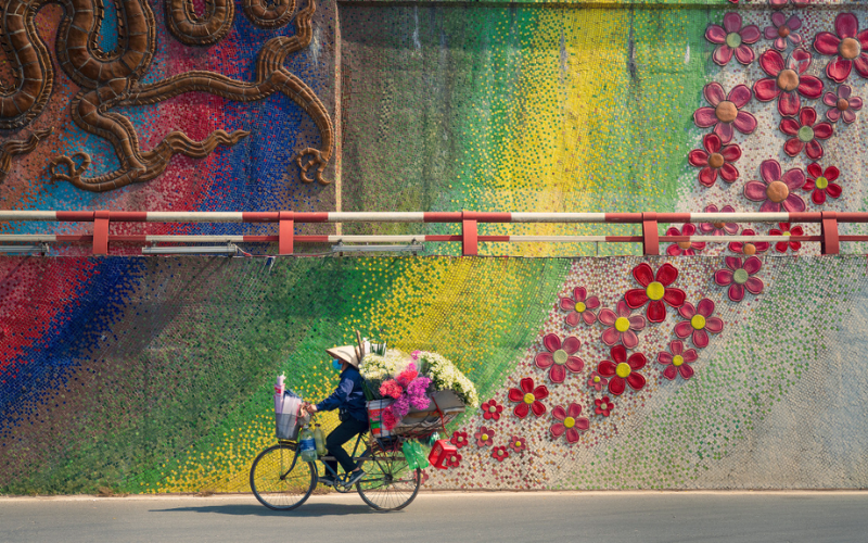 Vietnam Exploration: Hanoi, Halong Bay Tour (5 Days)